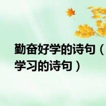 勤奋好学的诗句（勤奋学习的诗句）