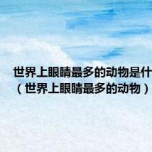世界上眼睛最多的动物是什么动物(世界上眼睛最多的动物)