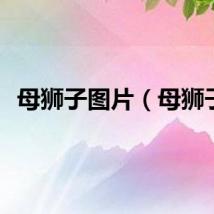 母狮子图片（母狮子）