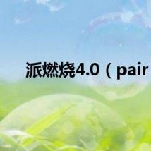 派燃烧4.0(pair)