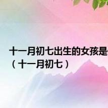十一月初七出生的女孩是什么命(十一月初七)