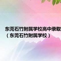 东莞石竹附属学校高中录取分数线(东莞石竹附属学校)