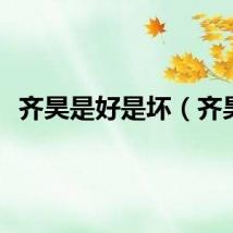 齐昊是好是坏（齐昊）