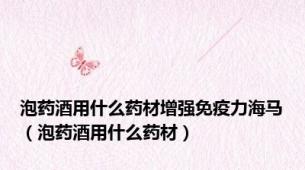 泡药酒用什么药材增强免疫力海马（泡药酒用什么药材）