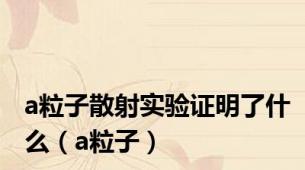 a粒子散射实验证明了什么（a粒子）