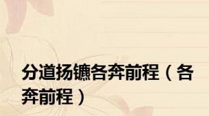 分道扬镳各奔前程（各奔前程）