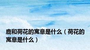 鹿和荷花的寓意是什么（荷花的寓意是什么）