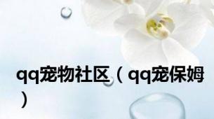 qq宠物社区（qq宠保姆）