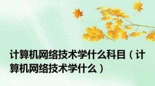 计算机网络技术学什么科目（计算机网络技术学什么）