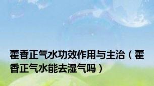 藿香正气水功效作用与主治（藿香正气水能去湿气吗）