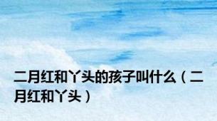 二月红和丫头的孩子叫什么（二月红和丫头）