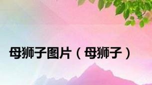母狮子图片（母狮子）