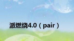 派燃烧4.0（pair）