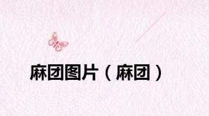 麻团图片（麻团）