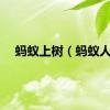 蚂蚁上树（蚂蚁人）
