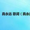 真永远 歌词（真永远）
