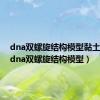 dna双螺旋结构模型黏土制作（dna双螺旋结构模型）