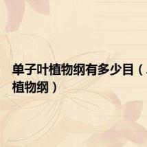 单子叶植物纲有多少目(单子叶植物纲)