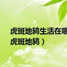虎斑地鸫生活在哪里（虎斑地鸫）
