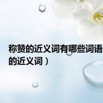 称赞的近义词有哪些词语(称赞的近义词)