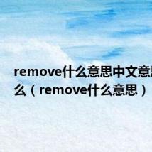 remove什么意思中文意思是什么(remove什么意思)