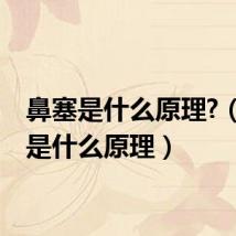 鼻塞是什么原理?(鼻塞是什么原理)