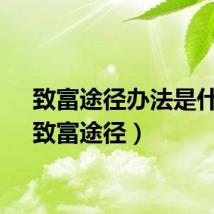 致富途径办法是什么（致富途径）