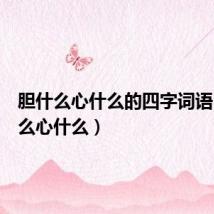 胆什么心什么的四字词语(胆什么心什么)