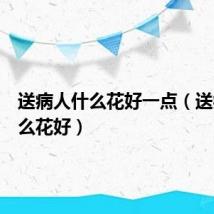 送病人什么花好一点(送病人什么花好)