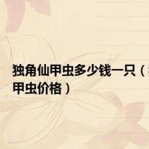 独角仙甲虫多少钱一只(独角仙甲虫价格)