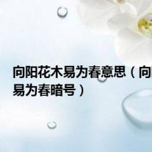 向阳花木易为春意思(向阳花木易为春暗号)