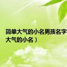 简单大气的小名男孩名字(简单大气的小名)