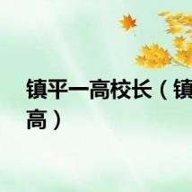 镇平一高校长（镇平一高）