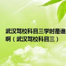 武汉驾校科目三学时是谁上传的啊(武汉驾校科目三)