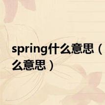 spring什么意思(ng什么意思)