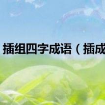 插组四字成语（插成语）