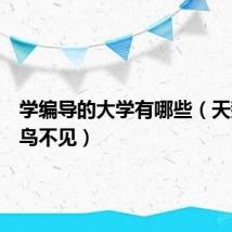 学编导的大学有哪些(天鹅一出鸟不见)
