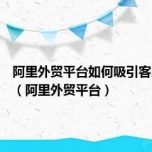 阿里外贸平台如何吸引客户询盘(阿里外贸平台)