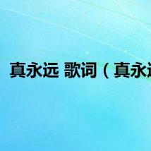真永远 歌词（真永远）