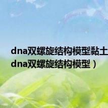 dna双螺旋结构模型黏土制作(dna双螺旋结构模型)