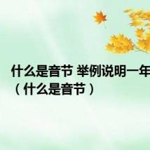 什么是音节 举例说明一年级拼音（什么是音节）