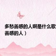 多愁善感的人啊是什么歌(多愁善感的人)