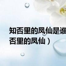 知否里的凤仙是谁（知否里的凤仙）