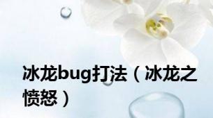 冰龙bug打法（冰龙之愤怒）