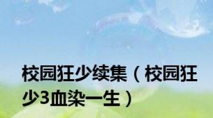 校园狂少续集（校园狂少3血染一生）