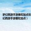 梦幻西游手游普陀加点攻略（梦幻西游手游普陀加点）