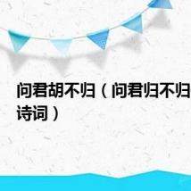 问君胡不归（问君归不归是那句诗词）