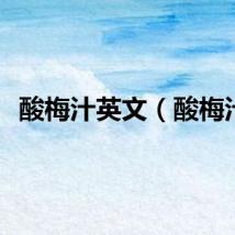 酸梅汁英文（酸梅汁）