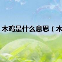 木鸡是什么意思（木鸡）