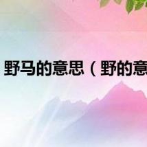 野马的意思（野的意思）